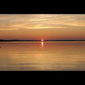 Meet your Posher, Jake